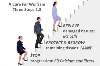 Wolfram Cure 3 Steps