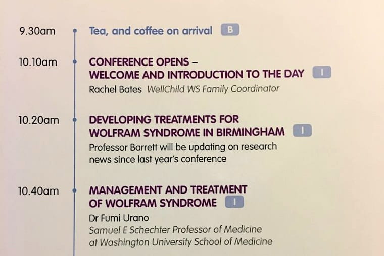 UK Wolfram syndrome conference 2016