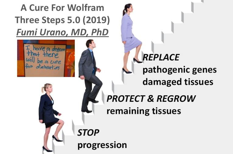 Thank you everyone for the Wolfram Research Clinic and Conference