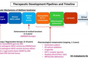 Therapeutic Development Pipelines and Timeline